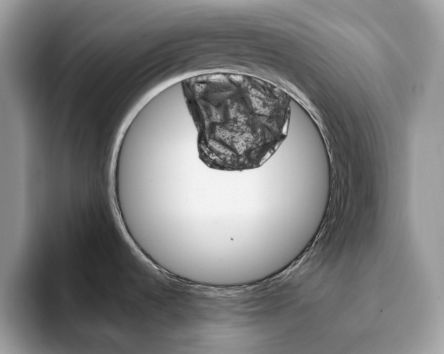 X0000093171536200710171219