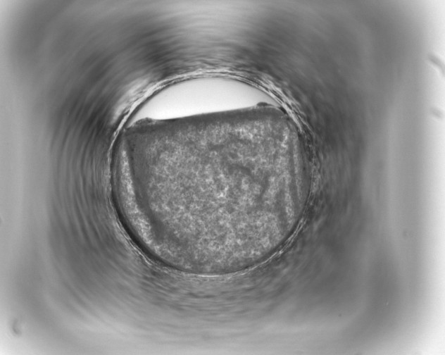 X0000093170002200710241049