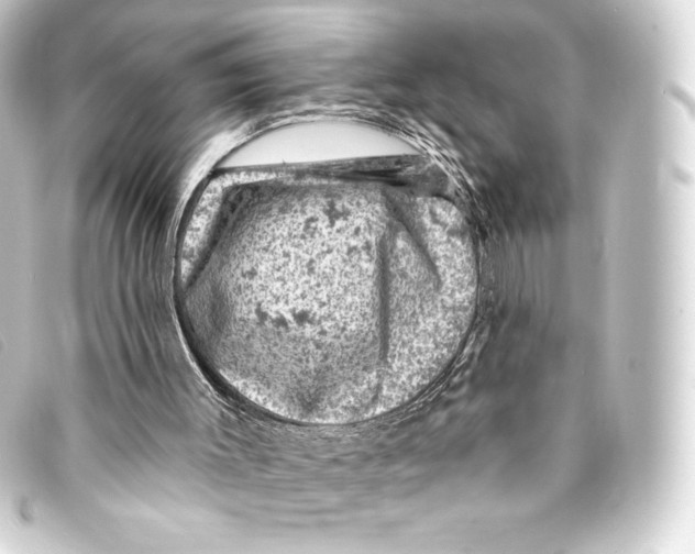 X0000093170003200710241049