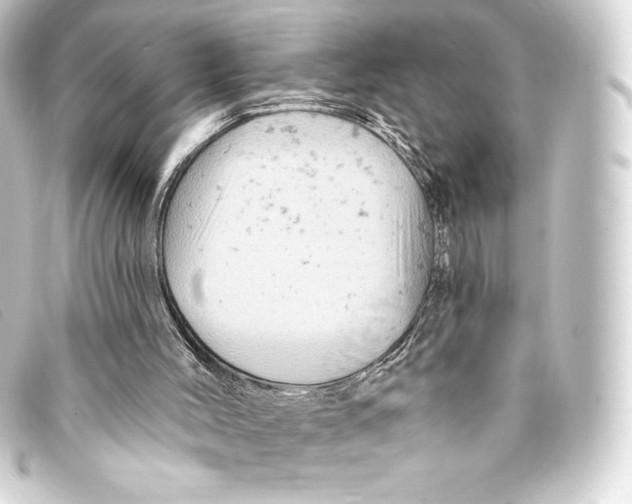 X0000093170004200710241049