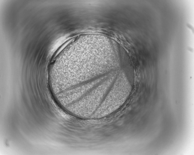 X0000093170005200710241049