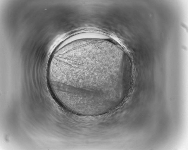 X0000093170007200710241049