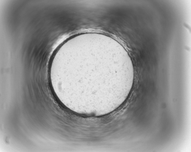 X0000093170008200710241049