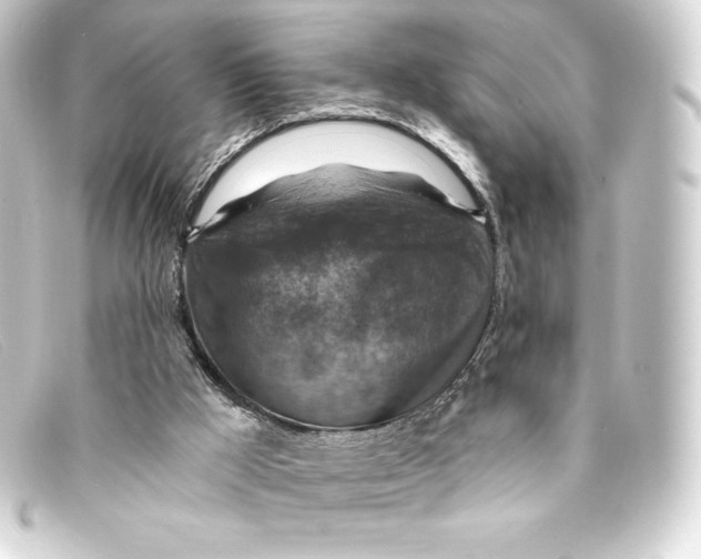 X0000093170009200710241049