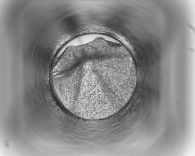 X0000093170010200710241049