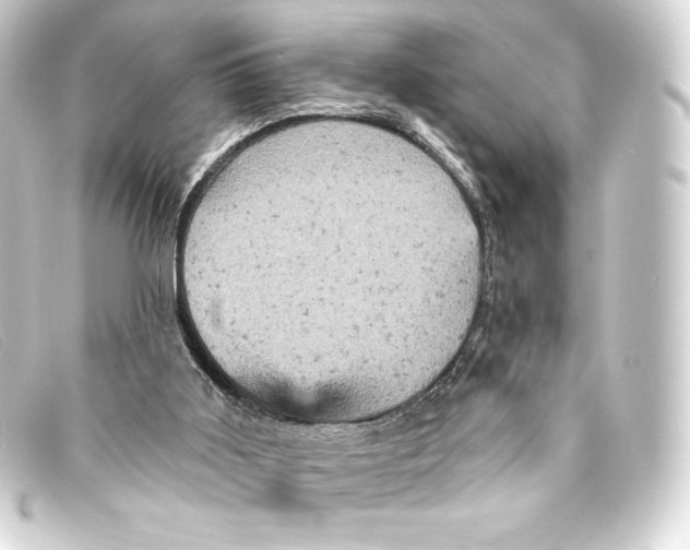 X0000093170011200710241049