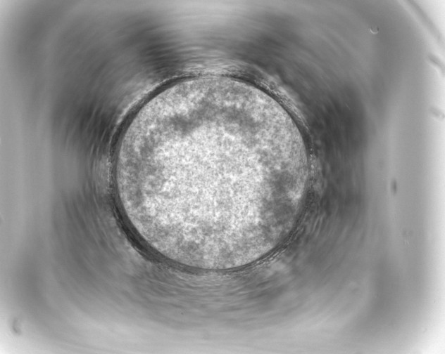 X0000093170012200710241049