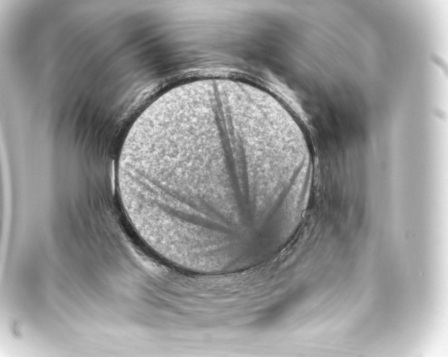 X0000093170013200710241049