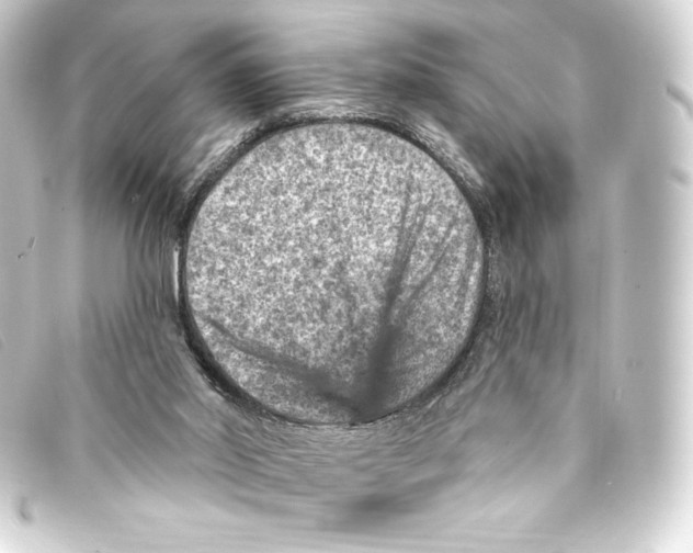 X0000093170014200710241049