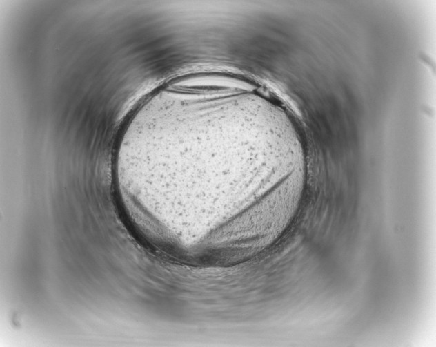 X0000093170015200710241049