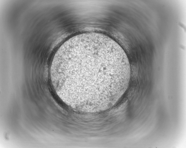 X0000093170016200710241049