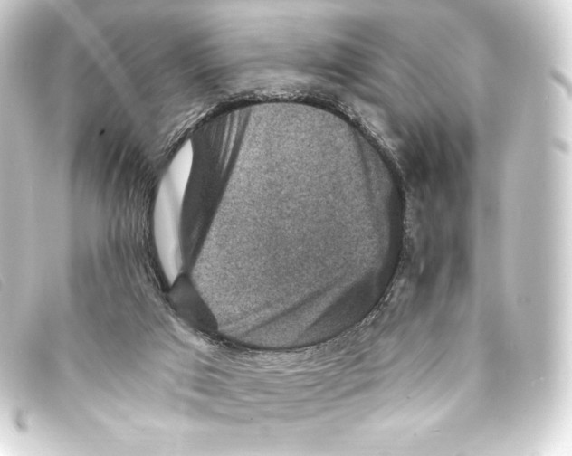 X0000093170017200710241049