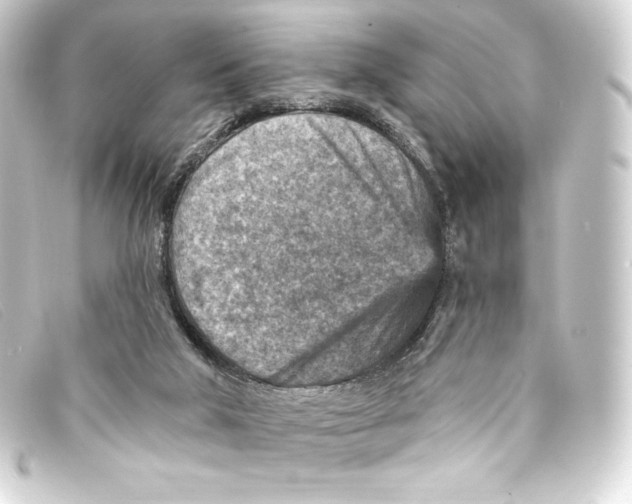 X0000093170018200710241049