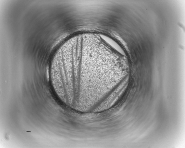 X0000093170020200710241049