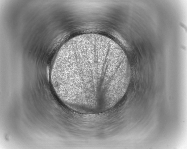 X0000093170022200710241049