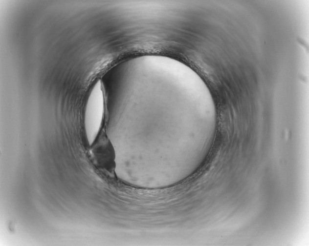 X0000093170023200710241049