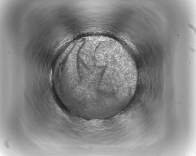 X0000093170024200710241049