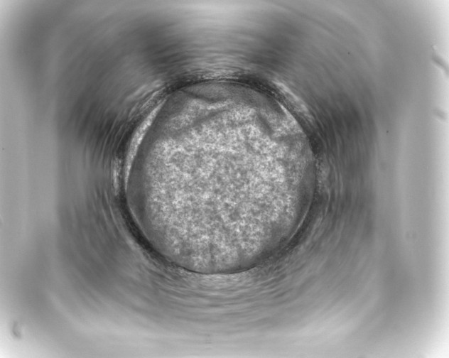 X0000093170026200710241049