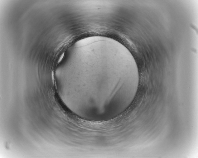 X0000093170027200710241049