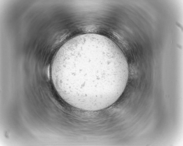 X0000093170028200710241049