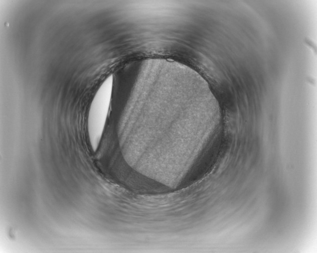 X0000093170029200710241049