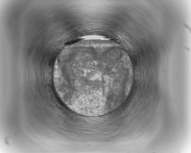 X0000093170030200710241049