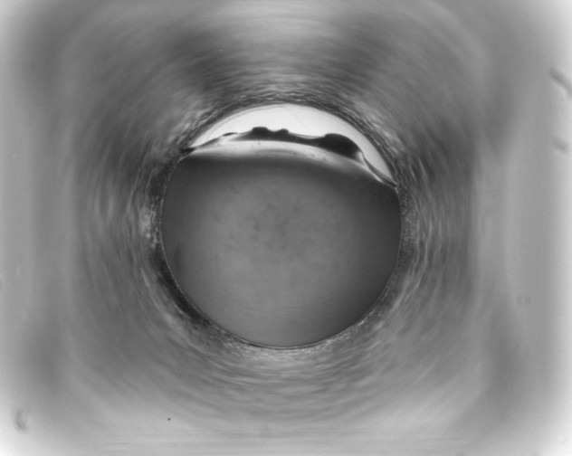 X0000093170031200710241049