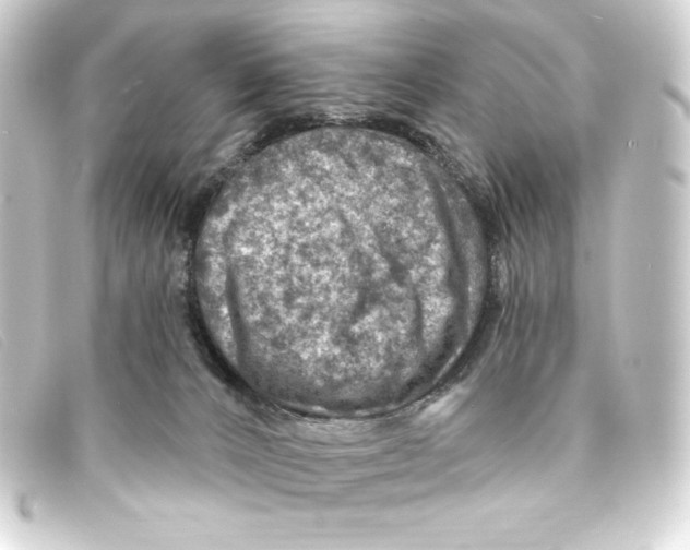 X0000093170032200710241049