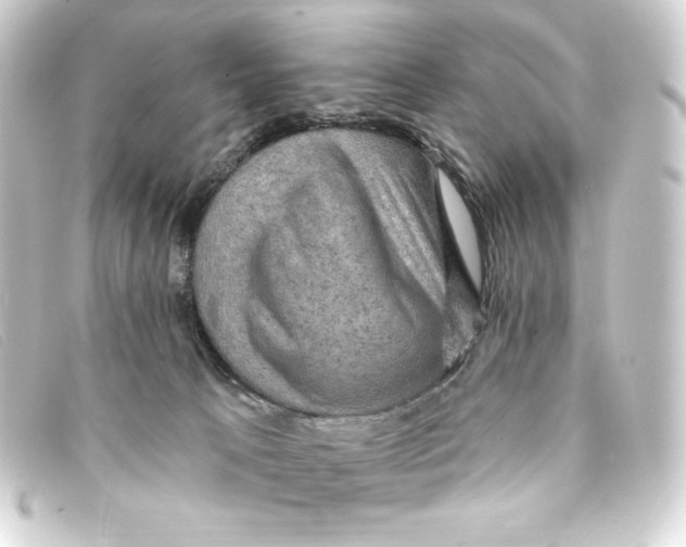 X0000093170033200710241049