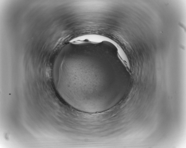 X0000093170035200710241049