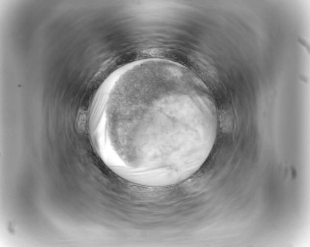 X0000093170036200710241049