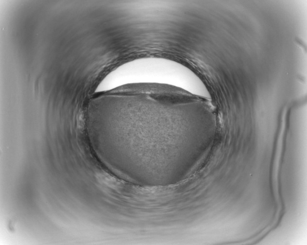 X0000093170037200710241048