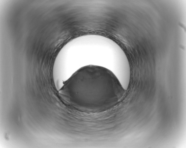 X0000093170039200710241048