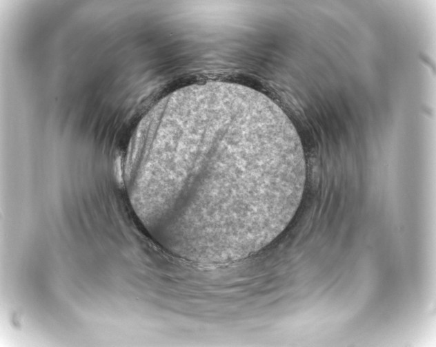 X0000093170042200710241048