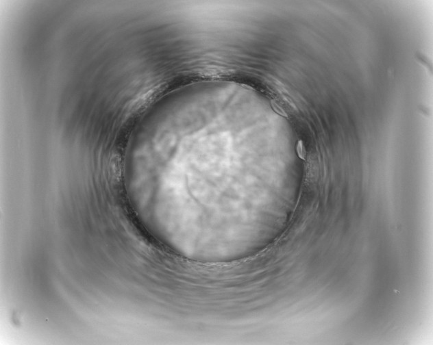 X0000093170043200710241048