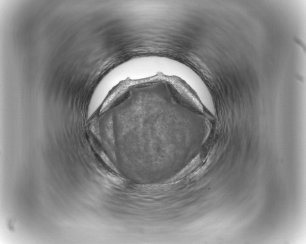 X0000093170045200710241048