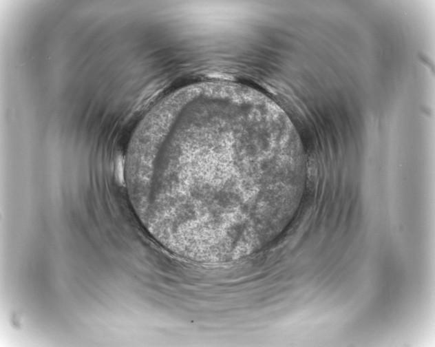 X0000093170046200710241048