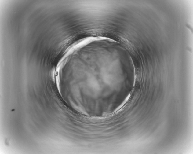 X0000093170047200710241048