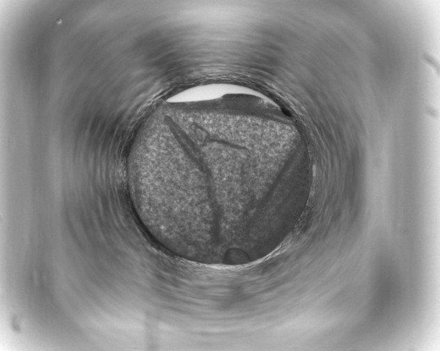 X0000093170048200710241048