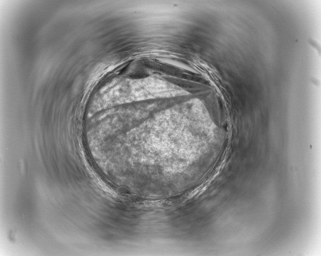 X0000093170049200710241048