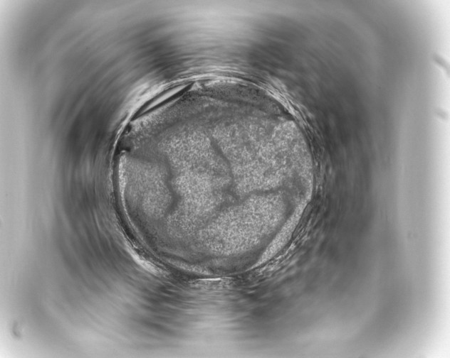 X0000093170050200710241048