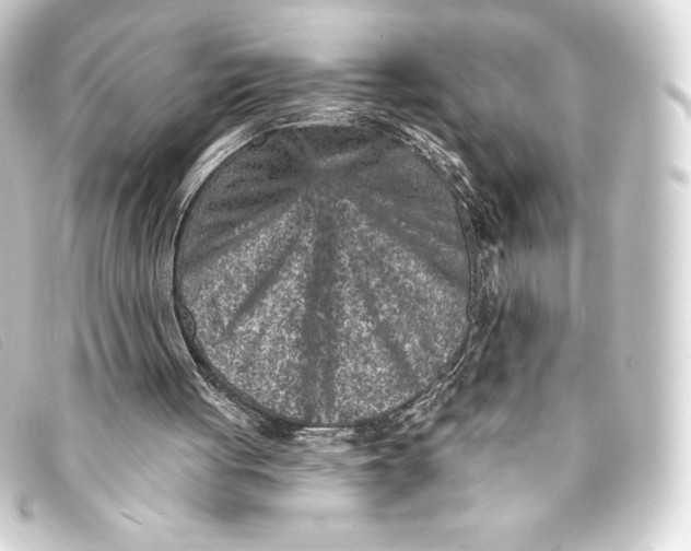 X0000093170051200710241048