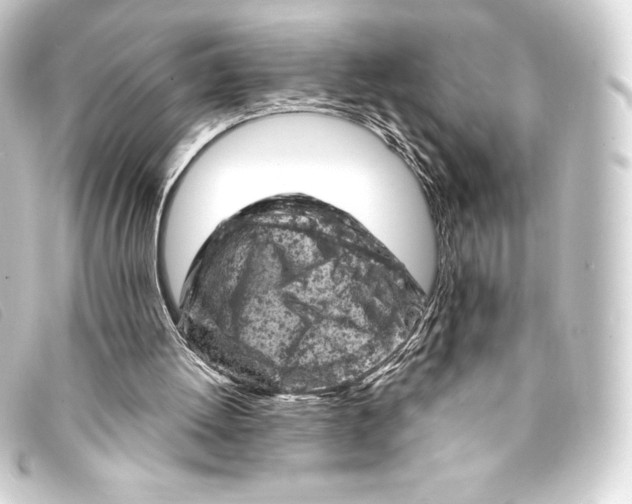 X0000093170052200710241048