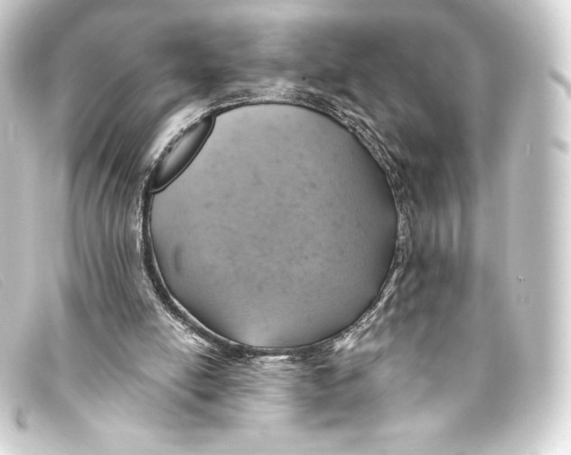 X0000093170054200710241048