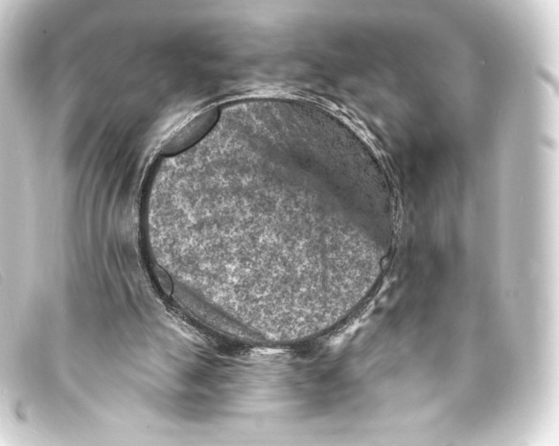 X0000093170055200710241048