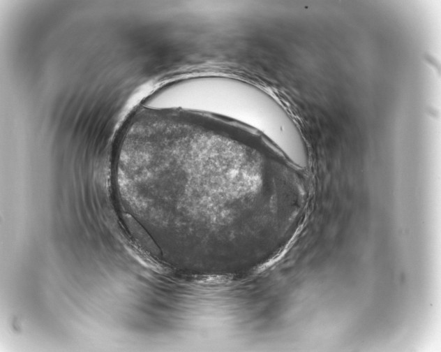 X0000093170056200710241048