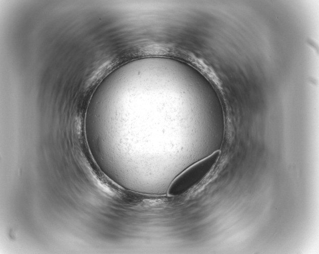 X0000093170057200710241048