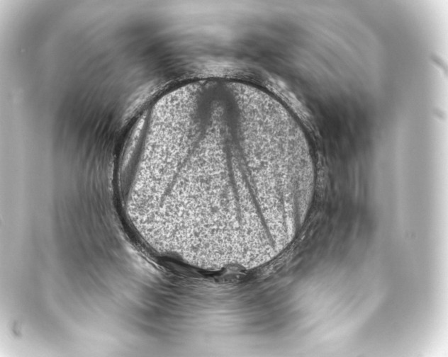 X0000093170058200710241048