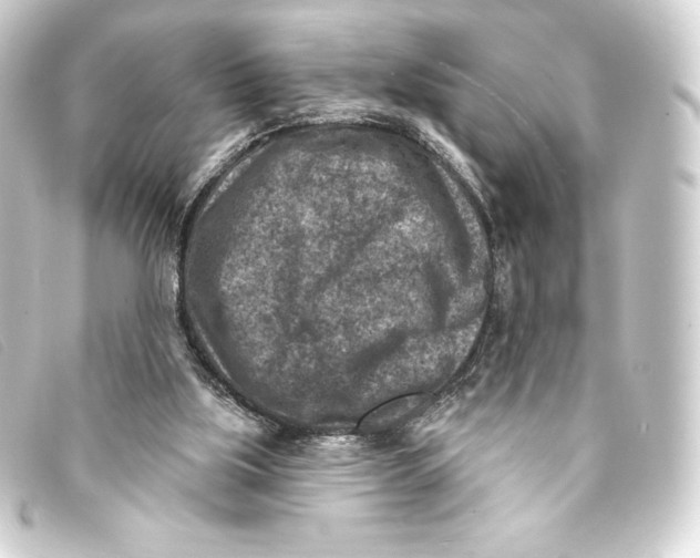 X0000093170059200710241048