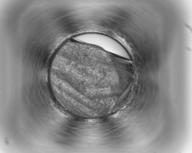 X0000093170060200710241048